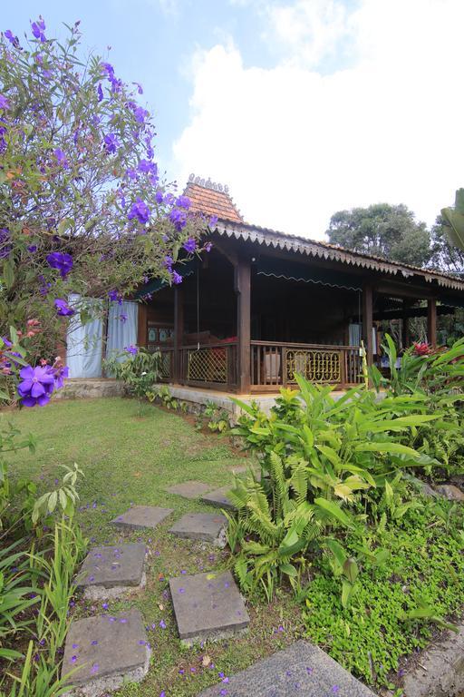 Jadul Village Resort Lembang Eksteriør billede